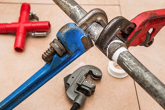 Pipe Perfection: Your Guide to the Best Plumber in Philadelphia
