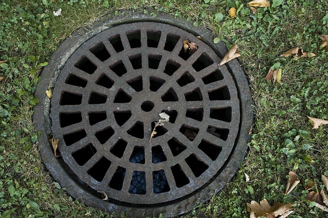 Drainage Detectives: Solving Plumbing Mysteries in Philadelphia