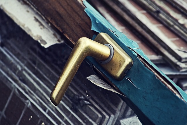 Navigating Waste: Unveiling the Top Dumpster Rental Services in Philadelphia
