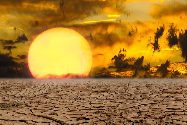 Heatwave Halters: Stopping the Swelter in Philadelphia