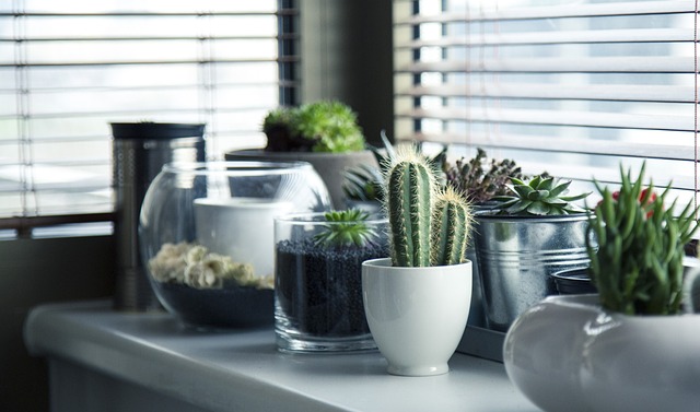 Indoor Air Quality Tips for Montgomery County Residents