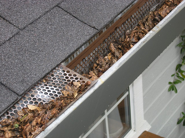 The Role of Gutters in Roof Maintenance for Anne Arundel County Homes