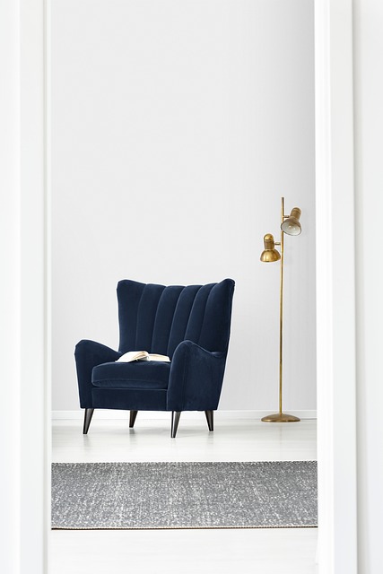 Spotless Splendor: Unveiling Philadelphia's Premier Rug Cleaning Service