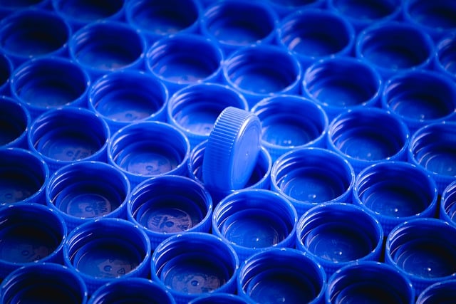 Recycling Revolutionaries: Spearheading Environmental Change