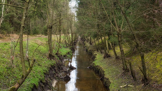 Drain Doctors: Diagnosing and Curing Drainage Distress